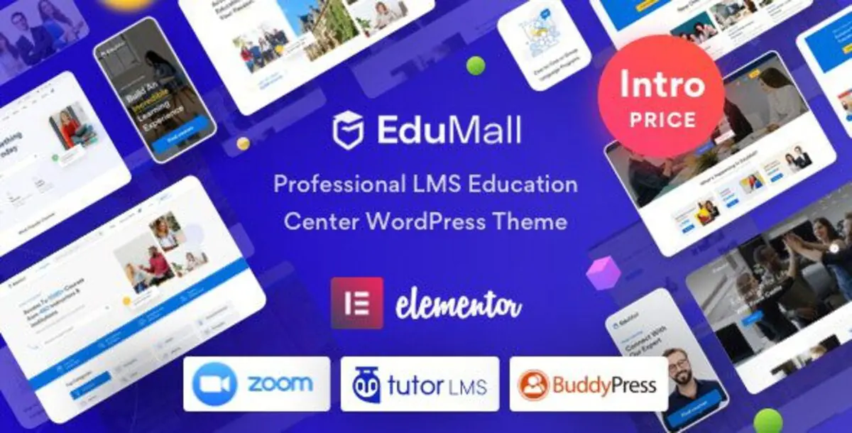 EduMall – Professional LMS Education Center WordPress Themes 1